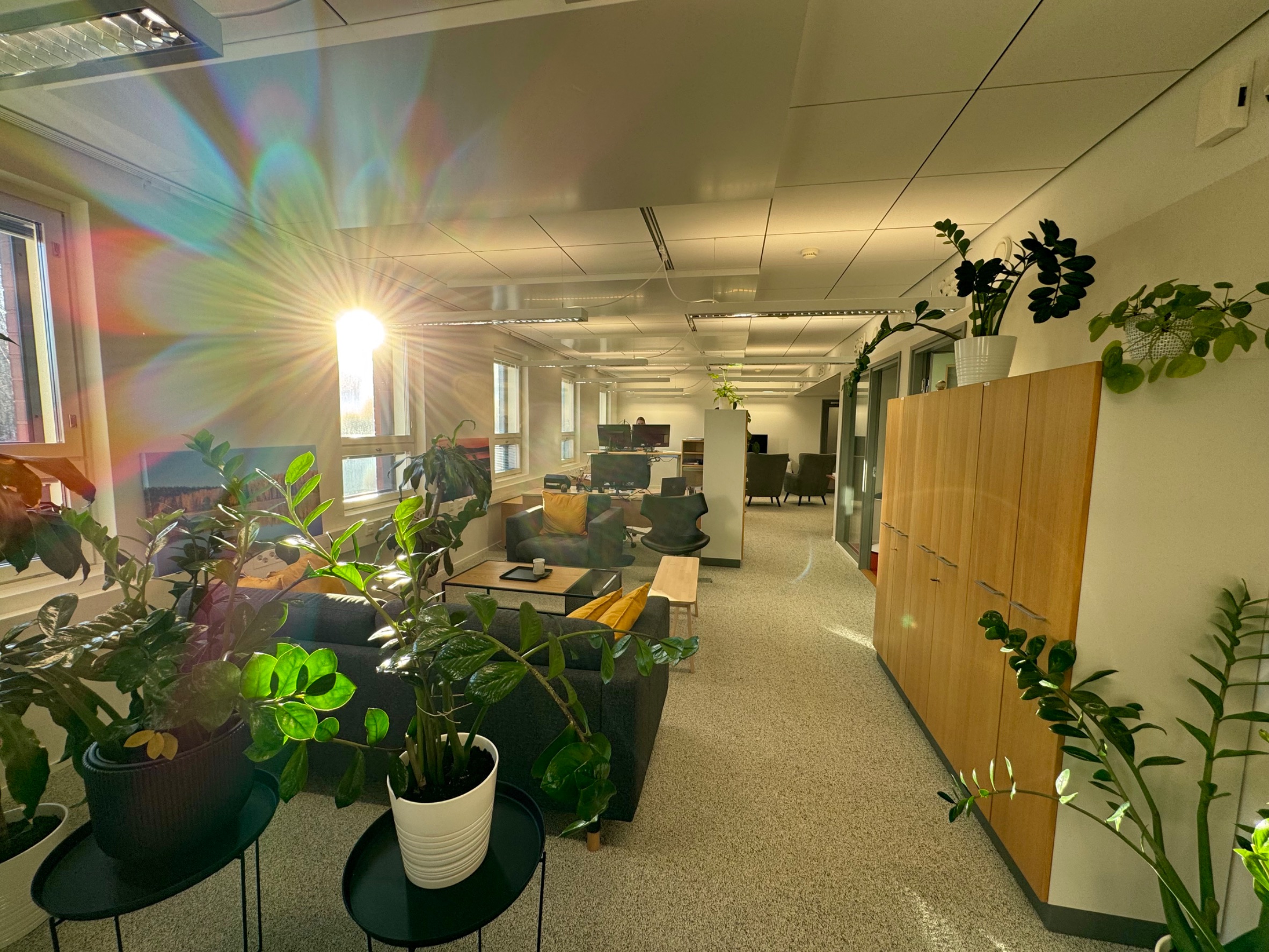 Images ALTIUS Asianajotoimisto Oy