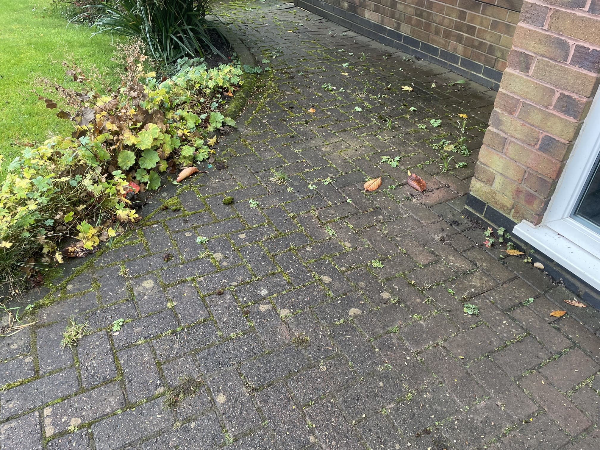 Denzel Washington Power Washing Preston 07488 383287