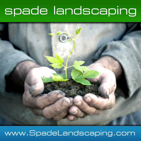 Spade Landscaping