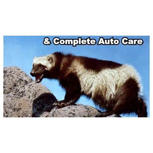 Lous Wolverine Auto and Transmission Repair