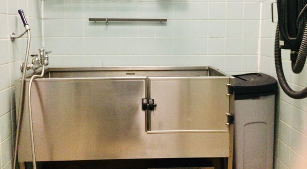 Images Petco Grooming