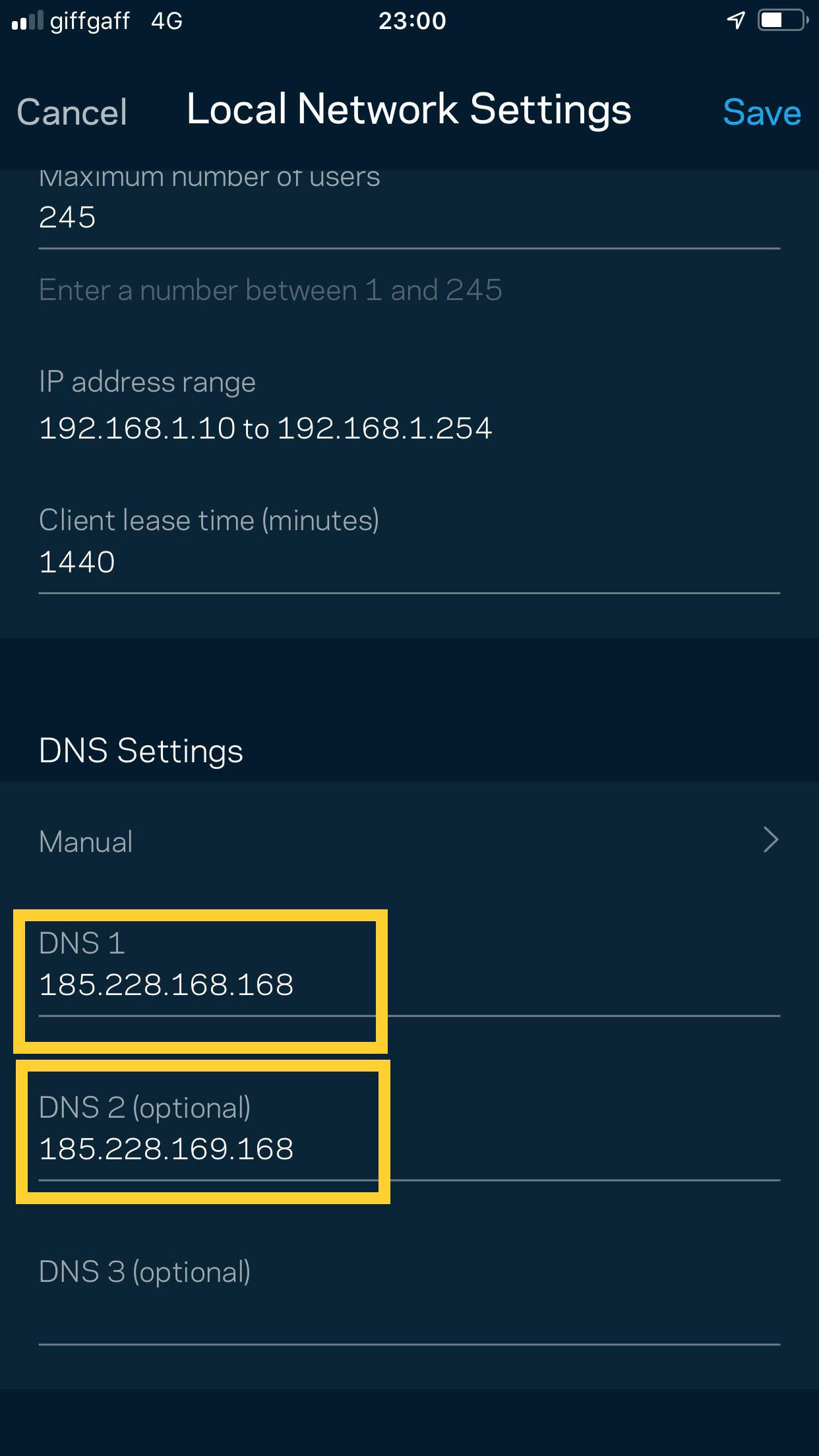 DNS 1 and DNS 2