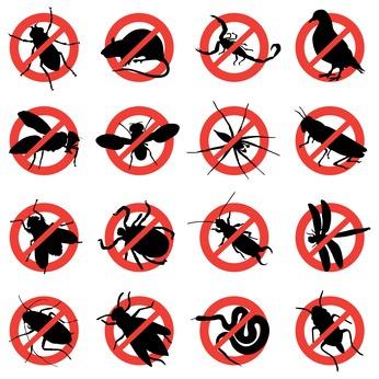 Thermal Bed Bug Service LLC