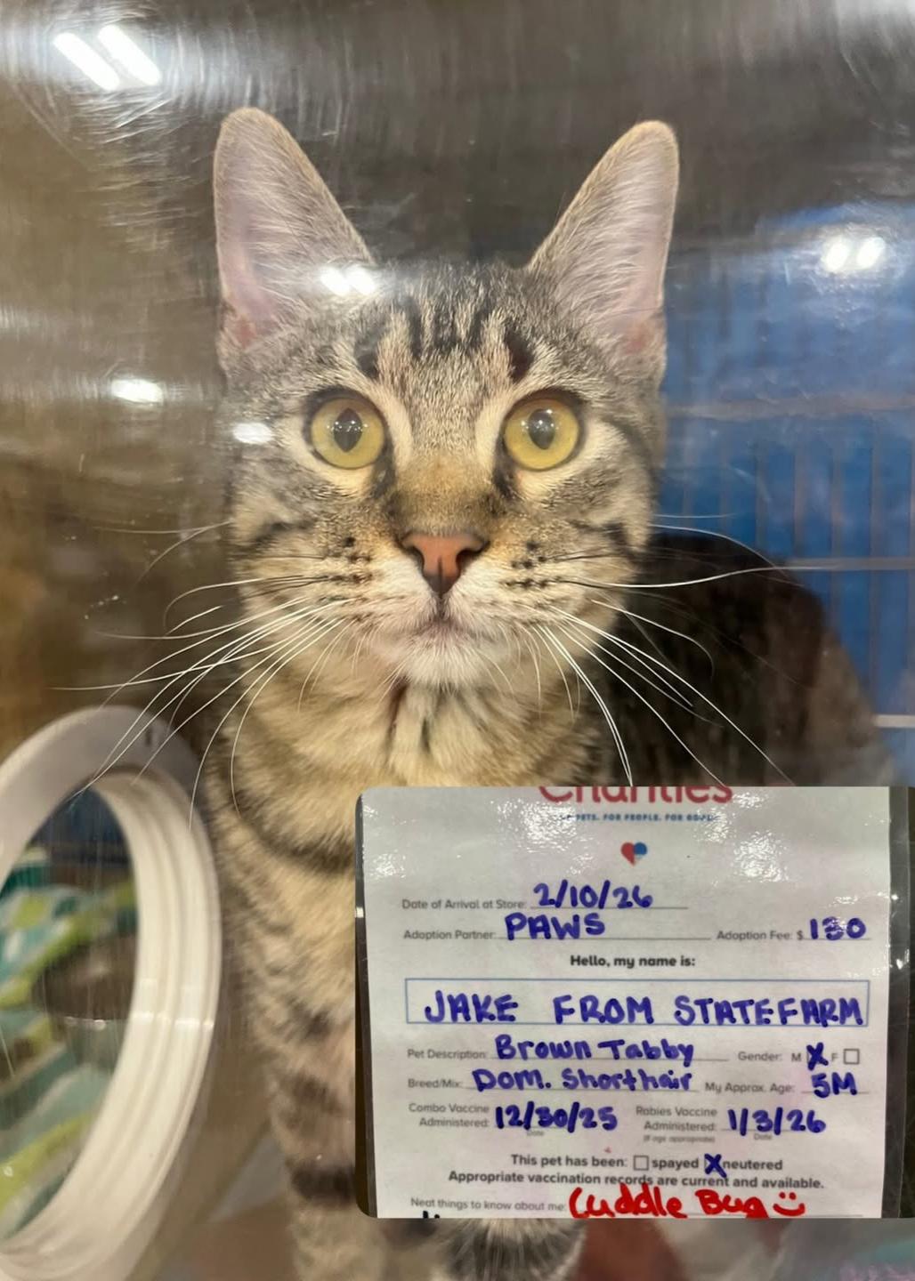 A huge thank you to our amazing customer for sharing that Jake from State Farm is up for adoption at our local PetSmart in San Marcos and is ready for lots of cuddles! We at State Farm hope he finds his forever home and gets all the love he deserves. Check out PAWS to donate or find your new furry friend!
