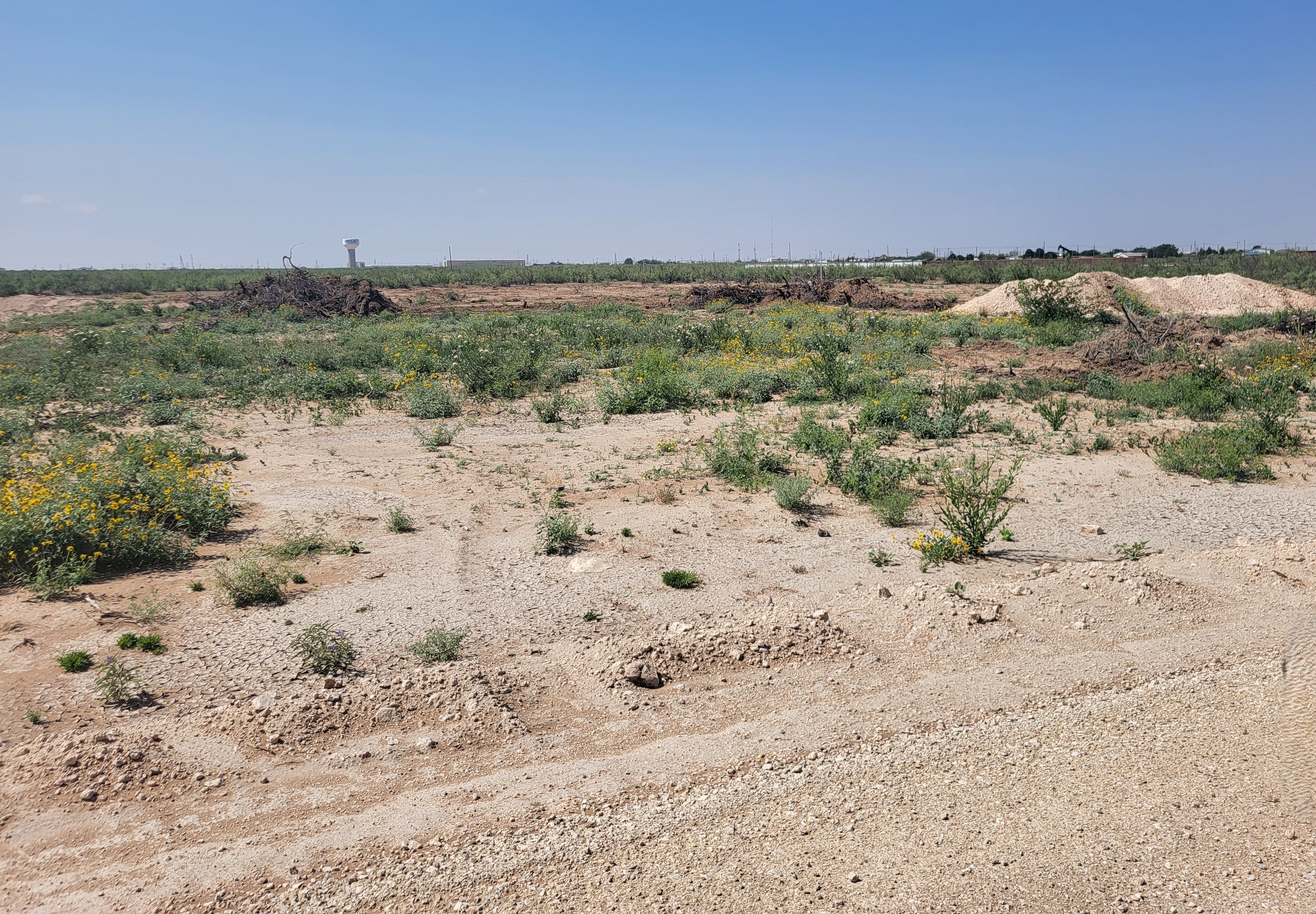 L.A.M. Property Management LLC, Addison Real Estate