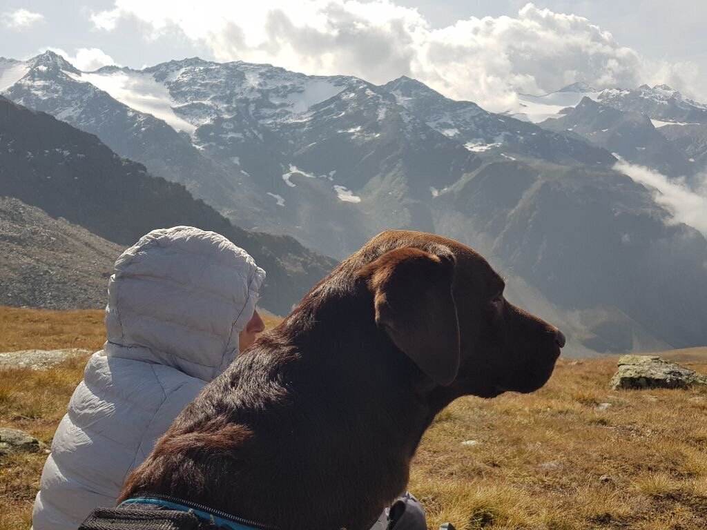 Bilder Tierkommunikation Seelentiergespräch