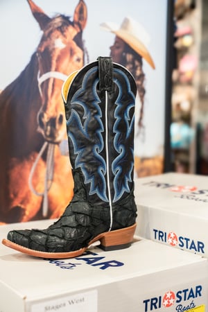 Images Ariat Outlet