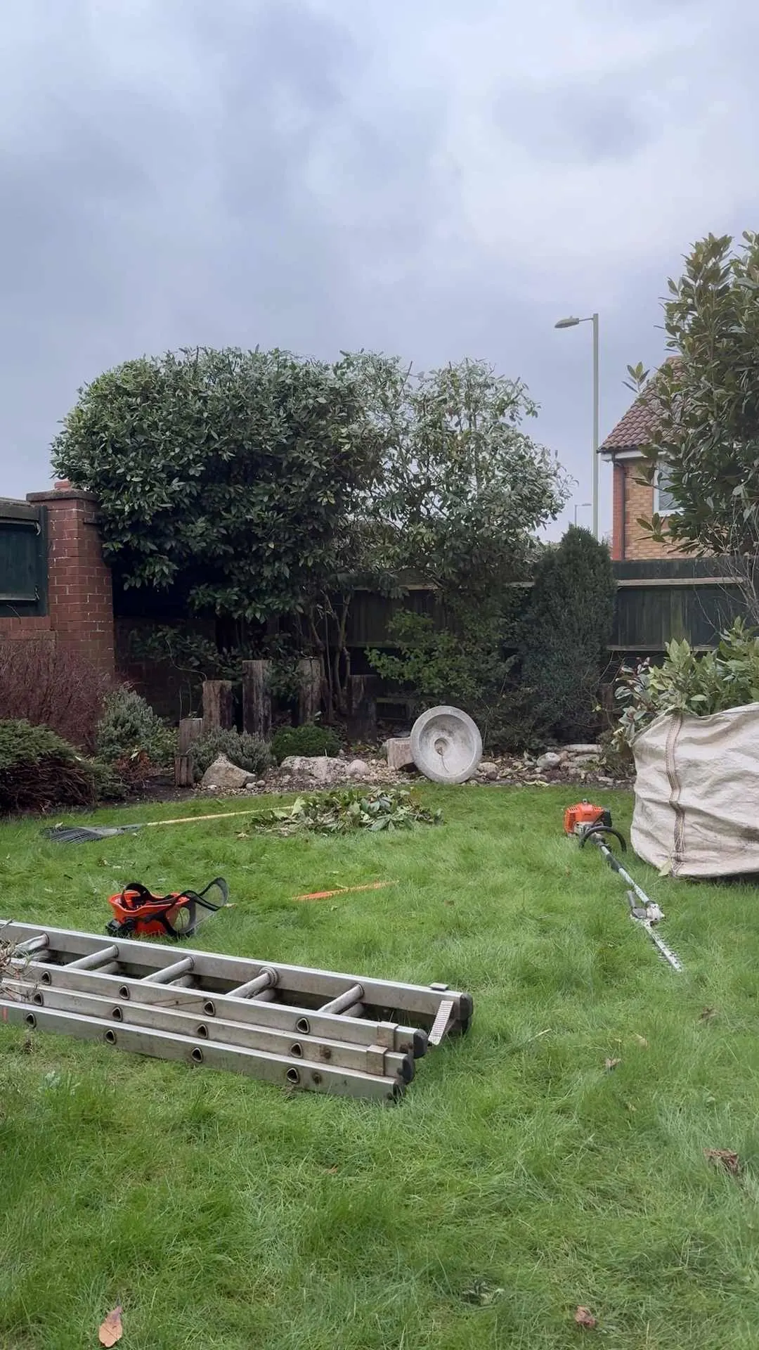 Images Arborist Tree Surgeons