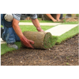 Sky High Turf Farms