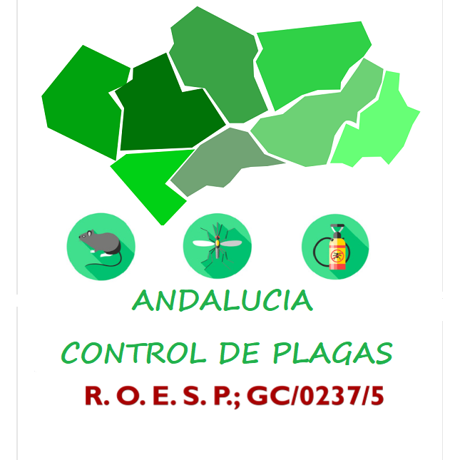 Andalucía Control Ecológico de Plagas Torremolinos