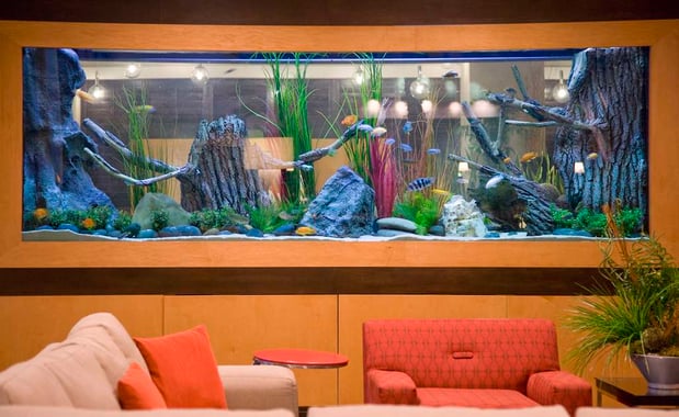 Images Embassy Suites by Hilton Houston Energy Corridor