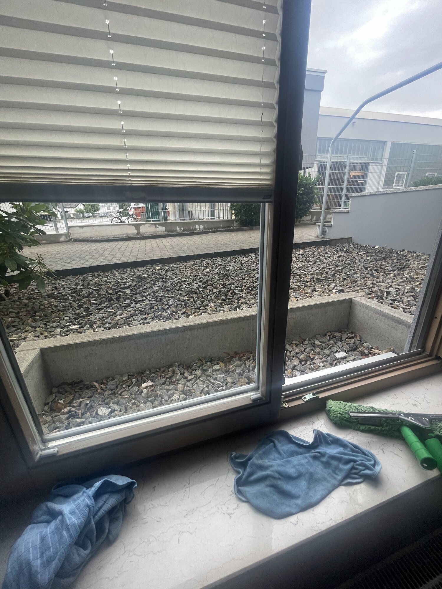 Gebäudereinigung Fiehn in Friesenheim
