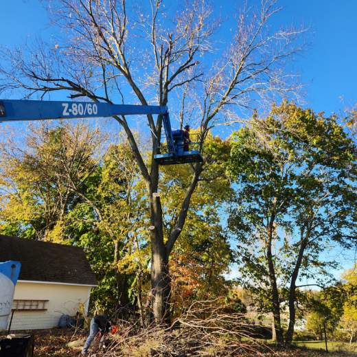 Milks Tree Service Inc Image