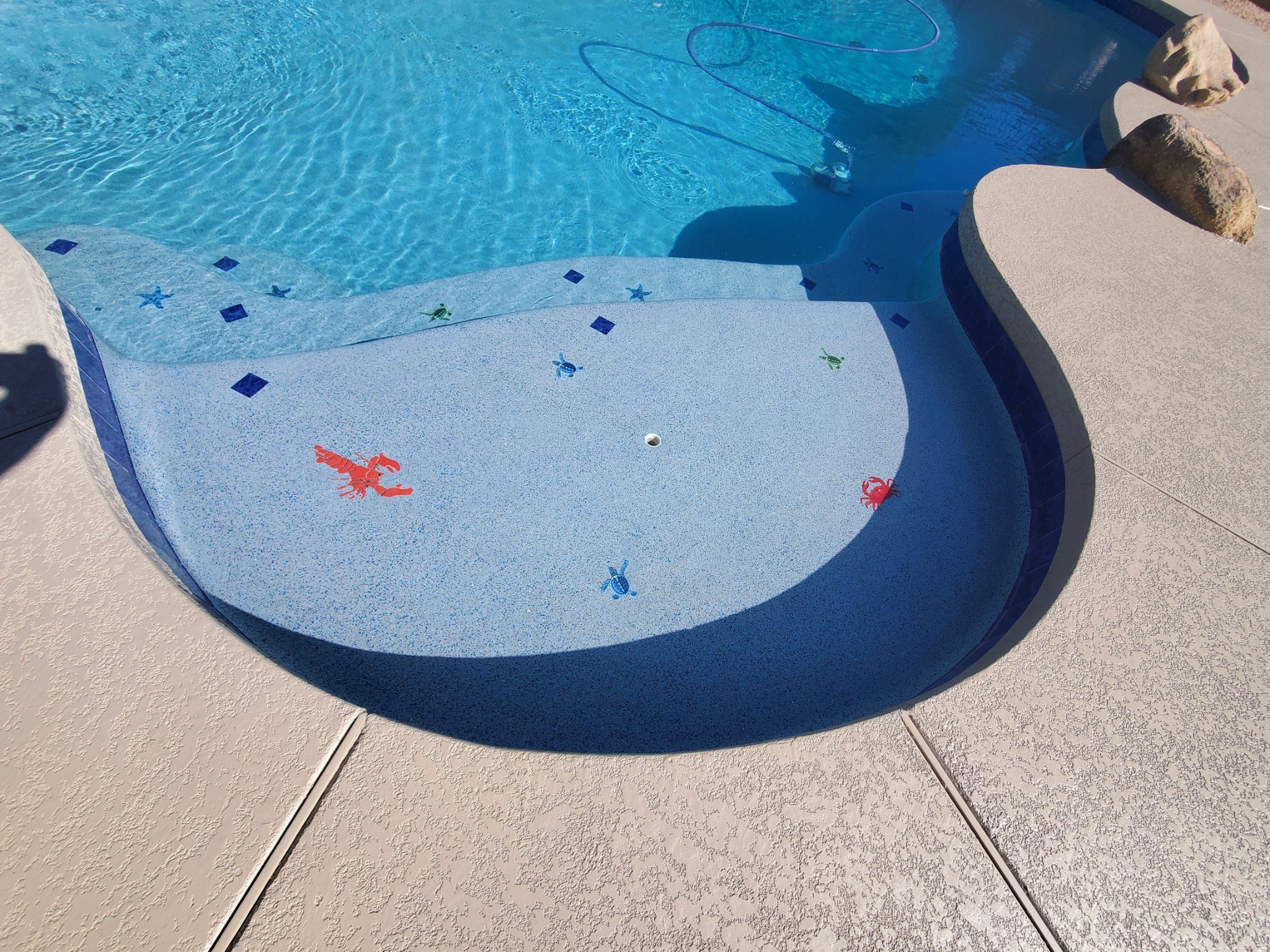 Custom details can turn a swimming pool into something personal. This pool incorporates colorful sea 