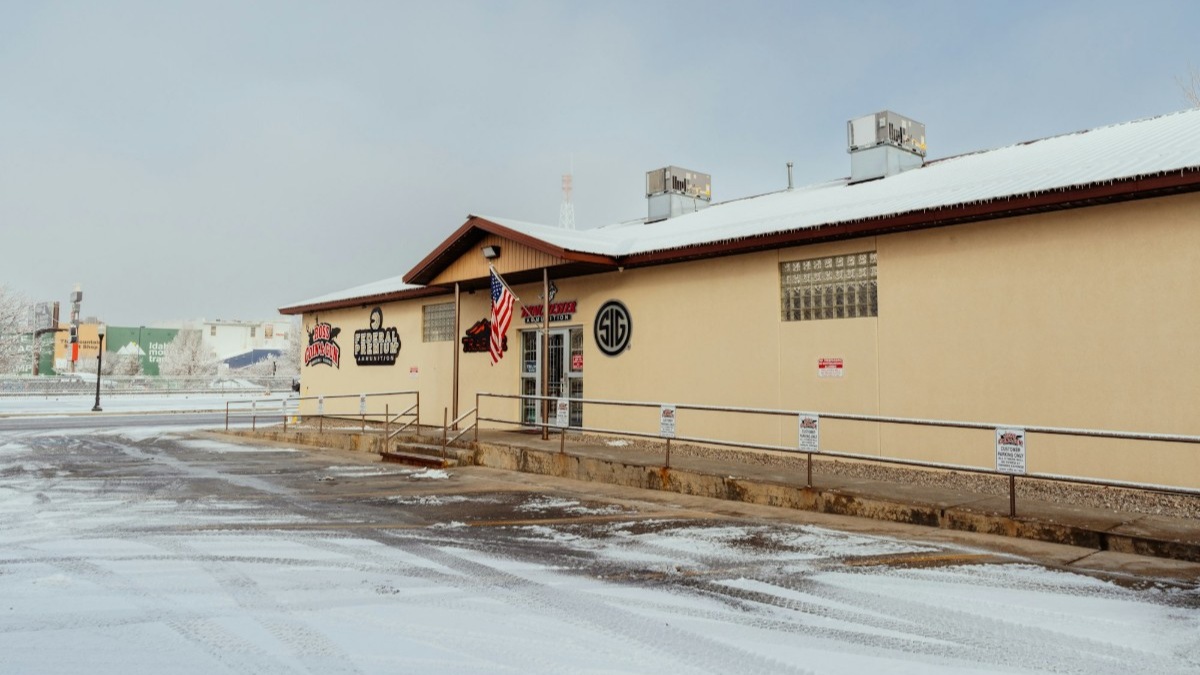 Ross Coin & Gun Image