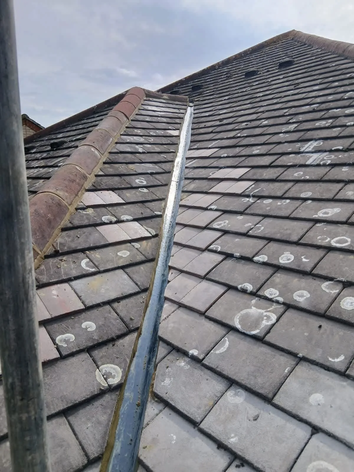 Images Stars Roofing Ltd