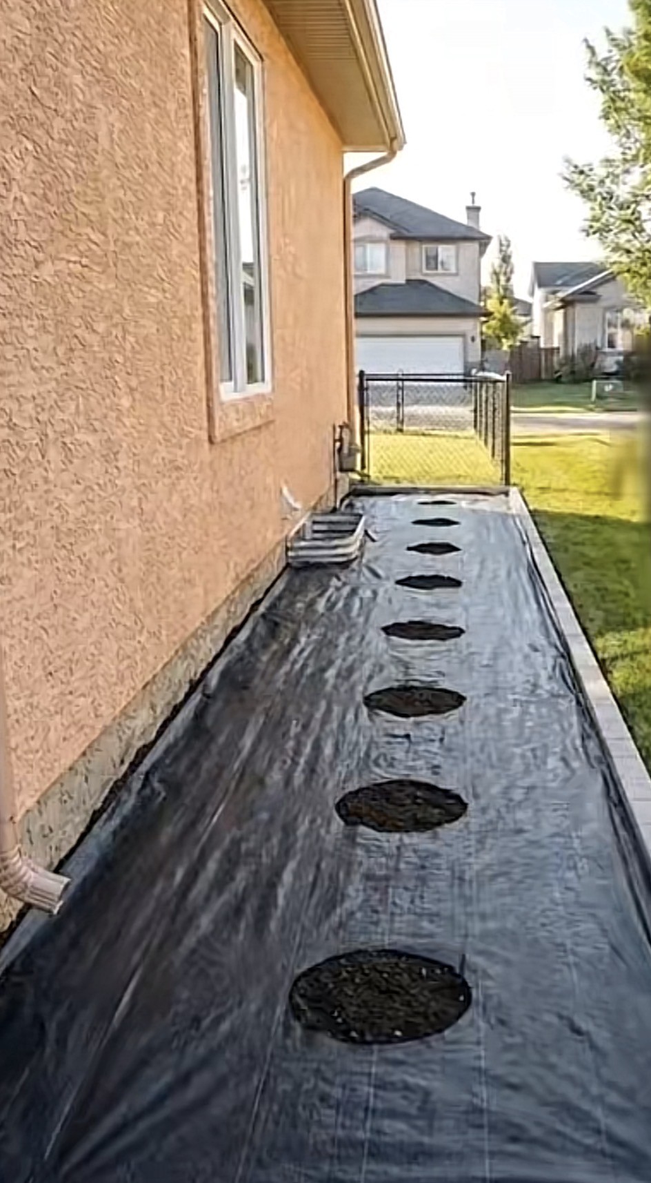 Alex Tree Service - Tree care services