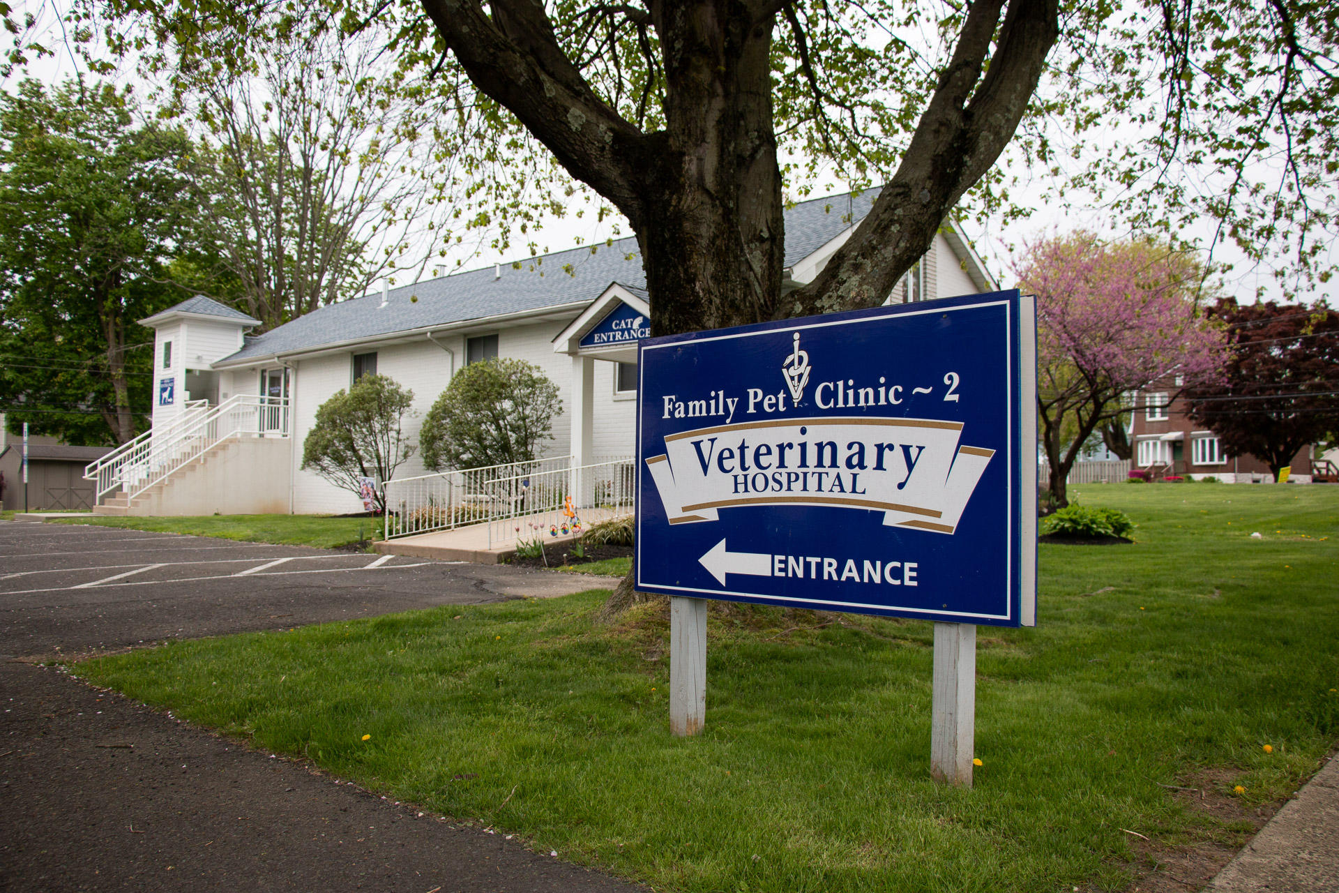 Our facility has a spacious parking lot to accommodate all of our clients and their pets.