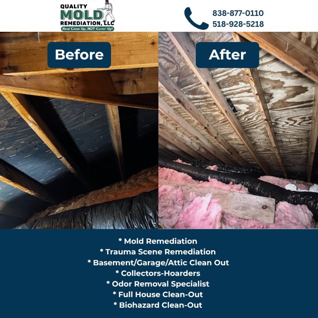 Images Quality Mold Remediation LLC