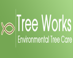 Tree Works Environmental Tree Care - Land o' Lake, FL 34639 - (813)973-1931 | ShowMeLocal.com