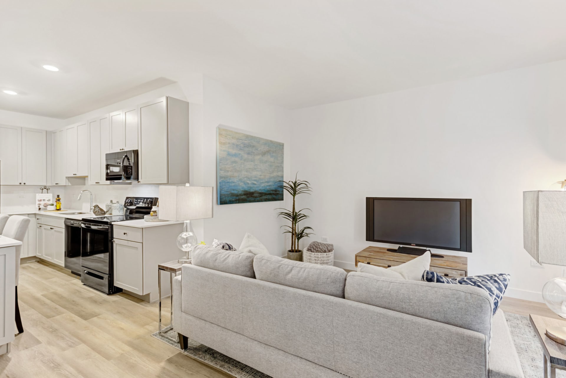 Stylish Open Kitchen and Living Room