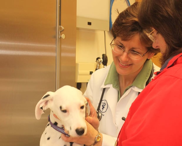 Images Hartzell Veterinary Service: Charles W. Hartzell, DVM and Sue Ann Hartzell, DVM