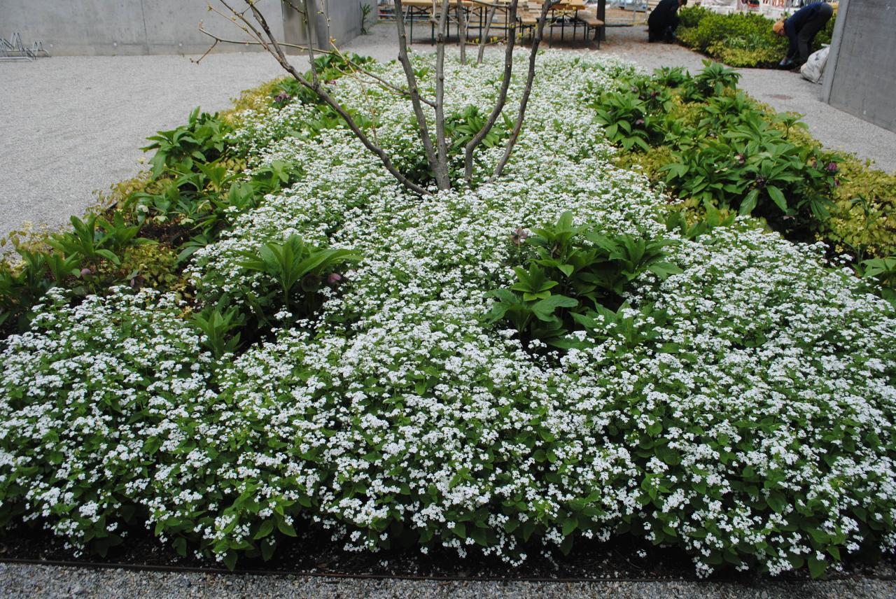 Bild 1 von KAINERSDORFER - Gartengestaltung & Pflasterer