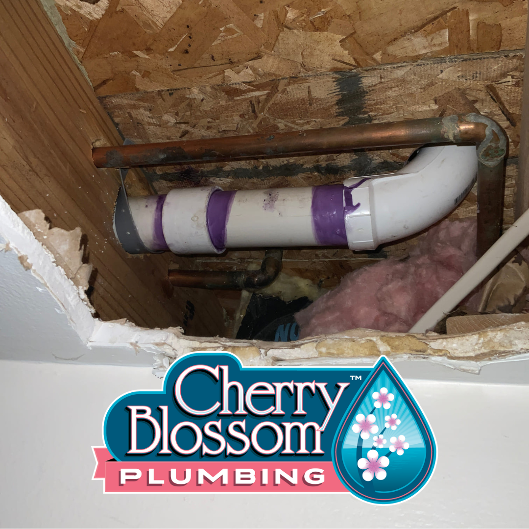 Cherry Blossom Plumbing Image