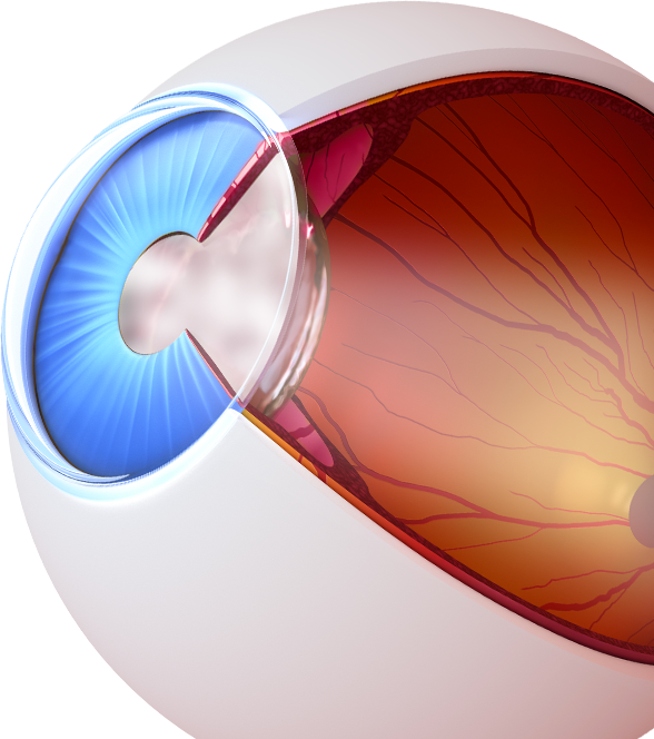 Gordon Wong Eye Design & Optometry | La Jolla, CA, , 