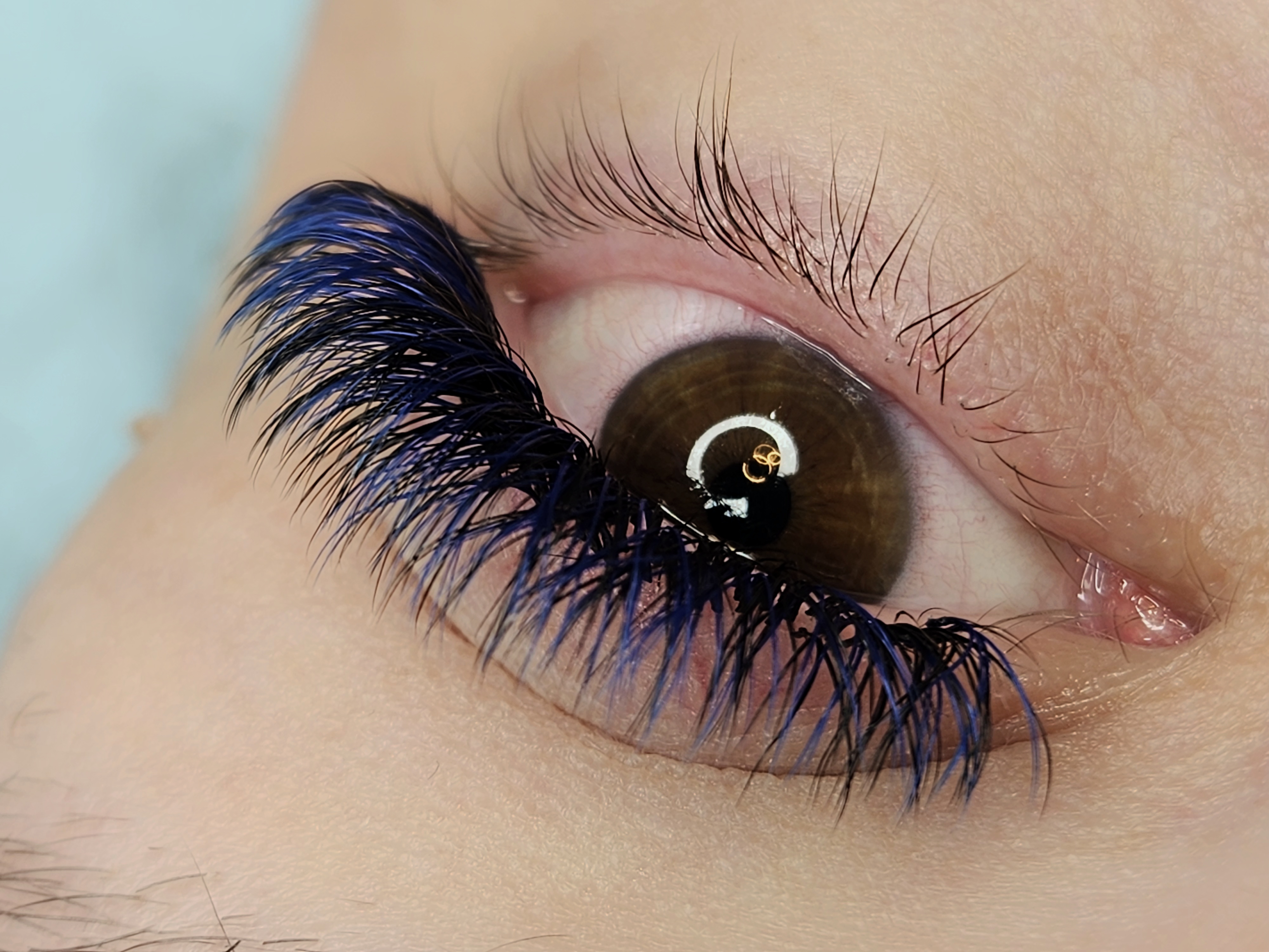 Images Lashista - Formation cils - Pose de cils - Produits de cils Longueuil