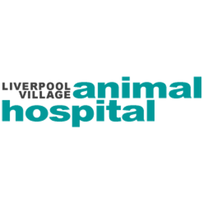 Veterans Organization in NY Liverpool 13088 Liverpool Village Animal Hospital 6770 Onondaga Lake Parkway (315)451-5455