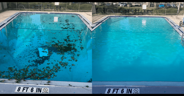 Images Phillips Pool Service, Inc.