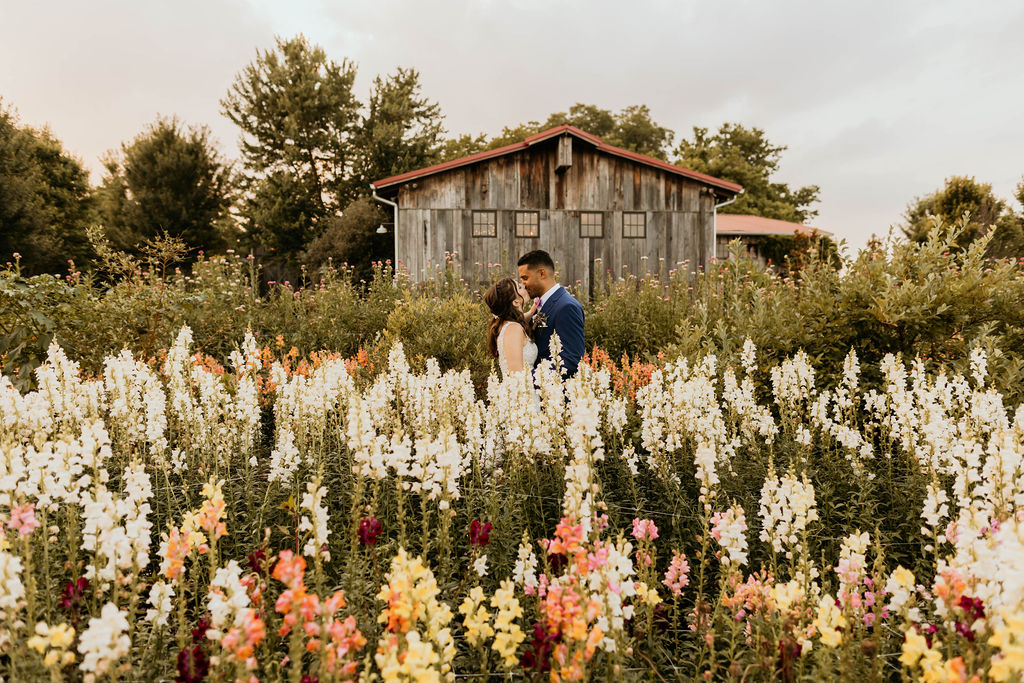 Flower Farm Photo