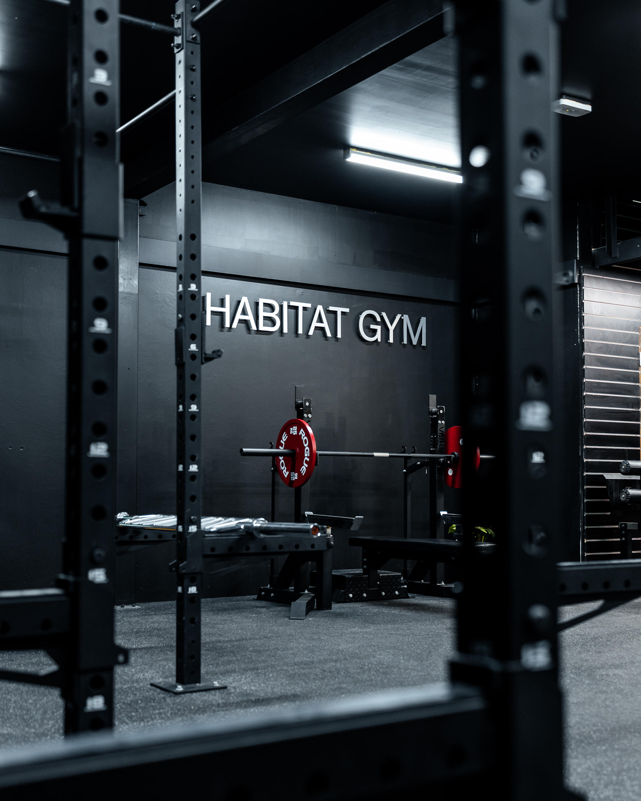 Images Habitat Gym