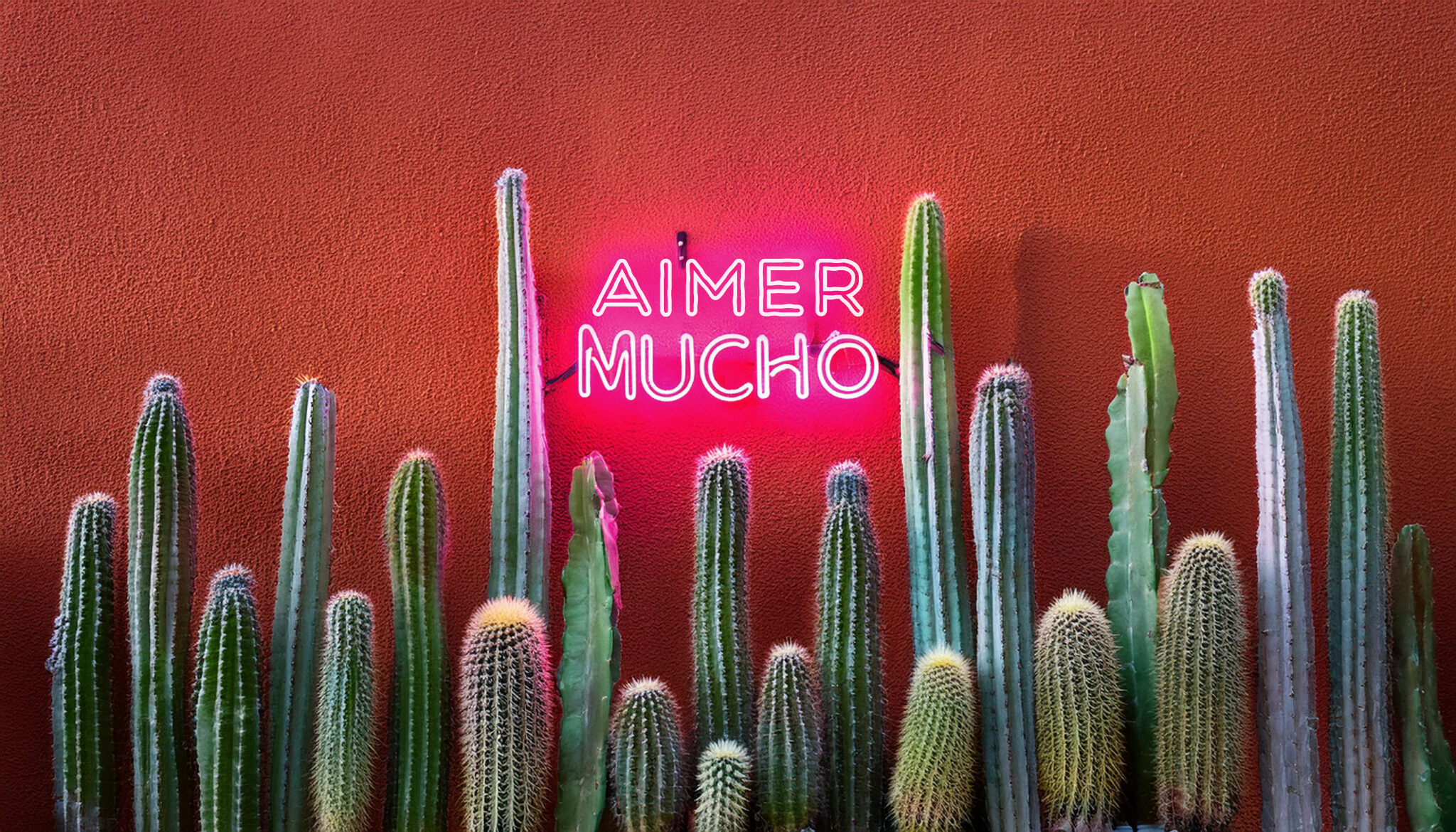 aimer-mucho