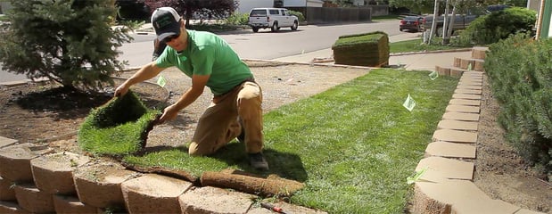 Images Preferred Sod