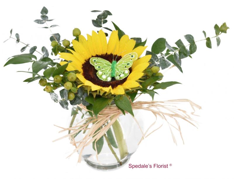 Images Spedale's Florist and Wholesale