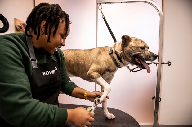 Images Bowie Barker Woodland Hills