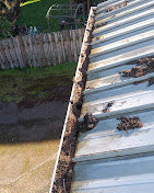 Images Alexa's Tree Service