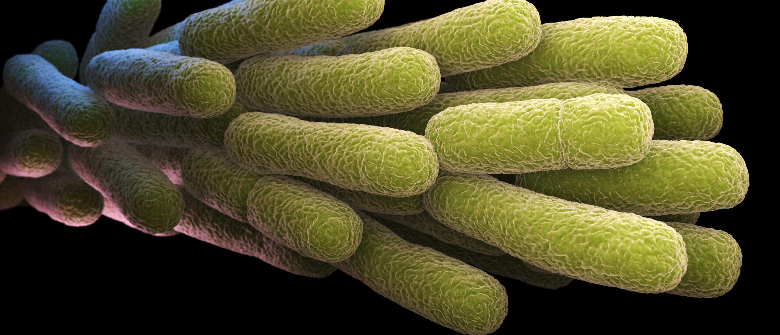 Hauschke + Leusder GmbH, Beisenbusch 9-11 in Nottuln