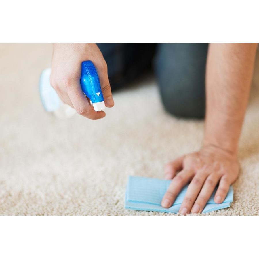 Bee Workers Cleaning Services