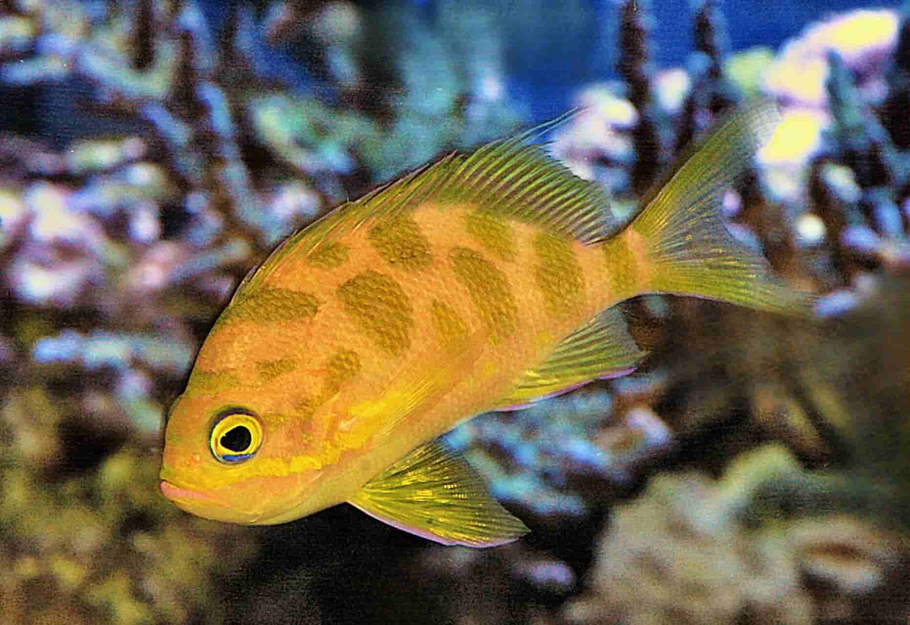 S&L Naturverlag, Bergrat-Mahr-Straße 17 in Ilmenau