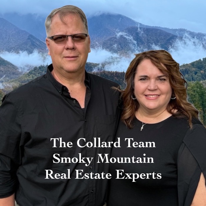 Smoky Mountain TN Real Estate Experts

Specializing in Short-Term Rental /STR Investment Airbnb Cabins, helping clients maximize their income potential with the best ROI, find best locations for optimal occupancy, provide real estate market advise, expert negotiation and personalized professional service throughout the transaction.

The Collard Team
Real Estate Investment Specialist 
David & Jill Collard
Serving Gatlinburg-Pigeon Forge-Sevierville 
& surrounding East Tennessee communities