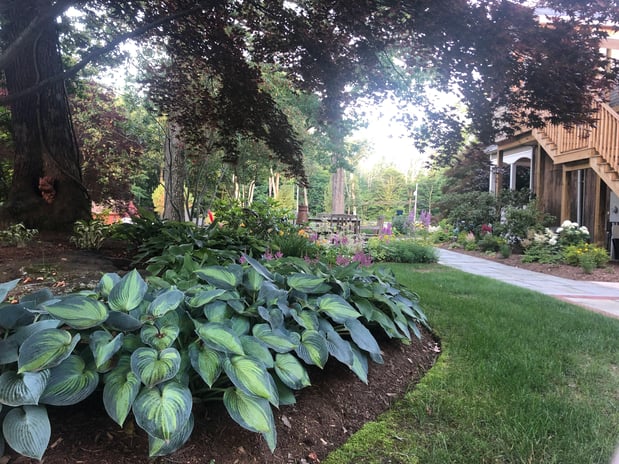 Images Madison Earth Care