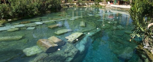 Images Amenity Pool Services - Jacksonville