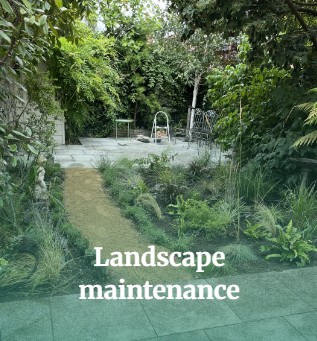 Advanced Tree and Environmental Consultancy 8
