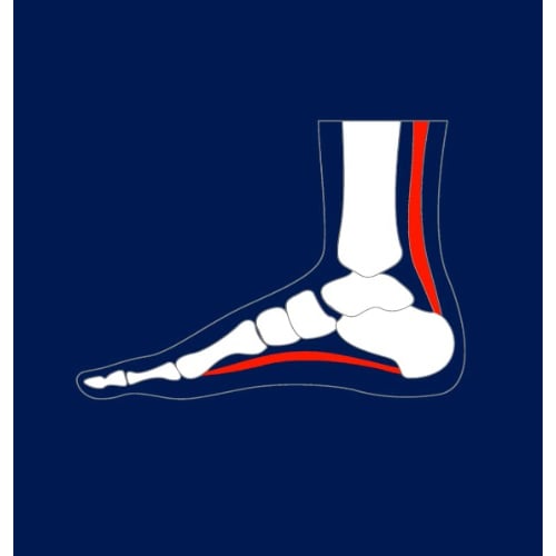 Leading Health Podiatry Modbury (Formerly AC Podiatry Modbury) Logo
