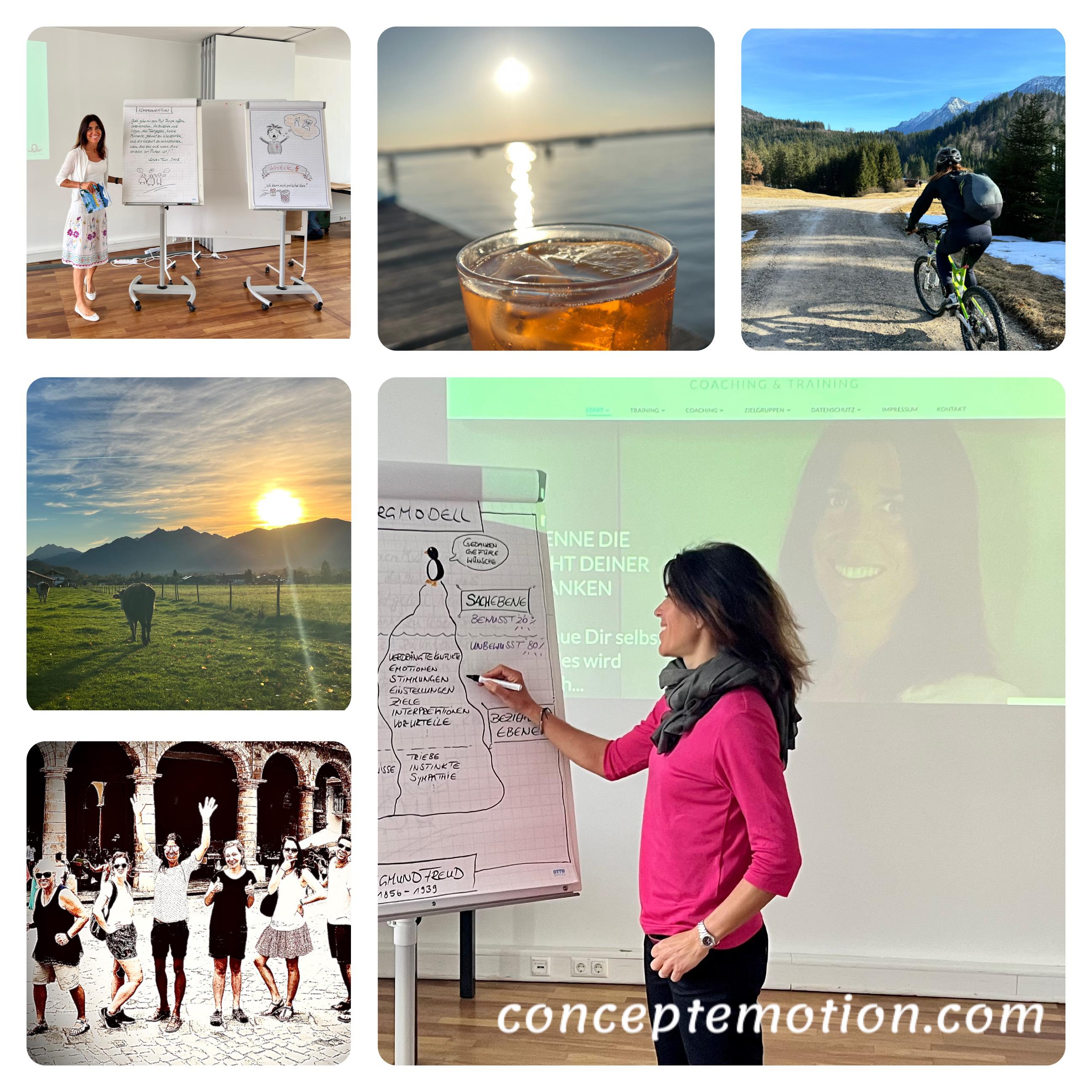 Logo concept-e-motion Coaching, Training, Teamentwicklung, Inspiration in München