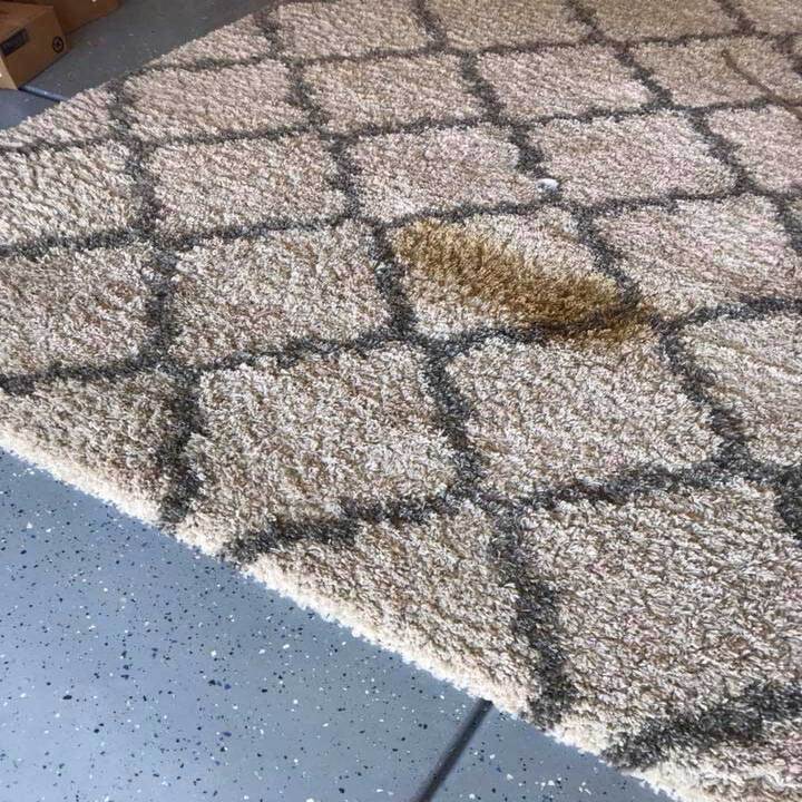 Images TNT Specialty Cleaning, Inc.