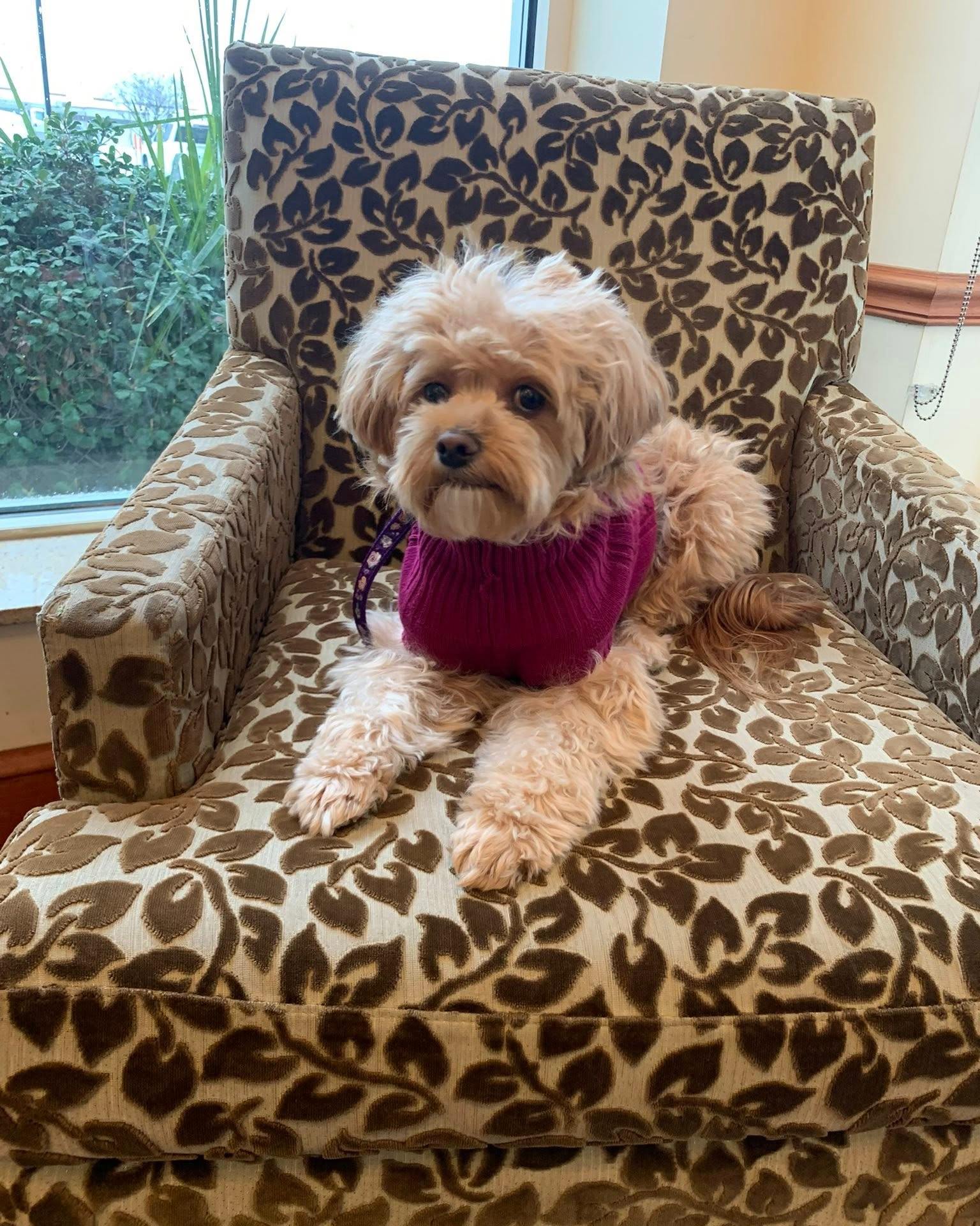 Kim Dupree - State Farm Insurance Agent Image